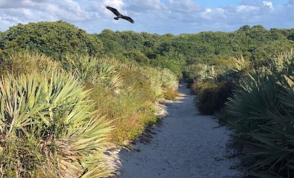 Juno Dunes Natural Area, Juno Beach, FL