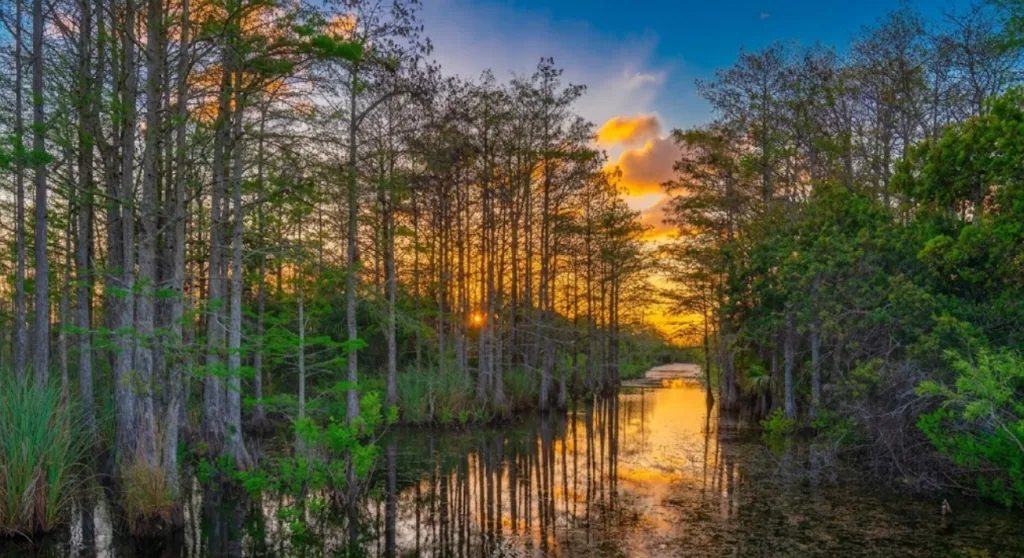 Loxahatchee Slough Natural Area